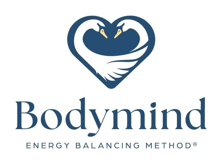 Suomen energiahoitajien tason 3 hoitaja (linkki hoitajalistaan)